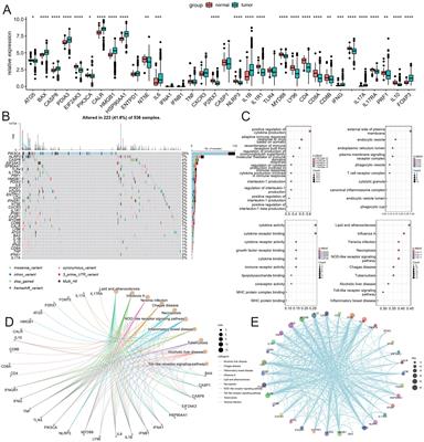 Prognosis of colorectal cancer, prognostic index of immunogenic cell death associated genes in response to immunotherapy, and potential therapeutic effects of ferroptosis inducers